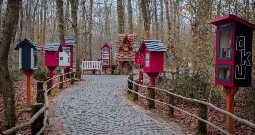 Günübirlik | Maşukiye Sapanca Ormanya Turu