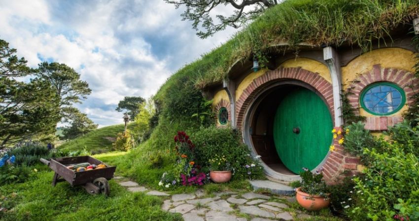 Günübirlik | Maşukiye Sapanca Ormanya Turu