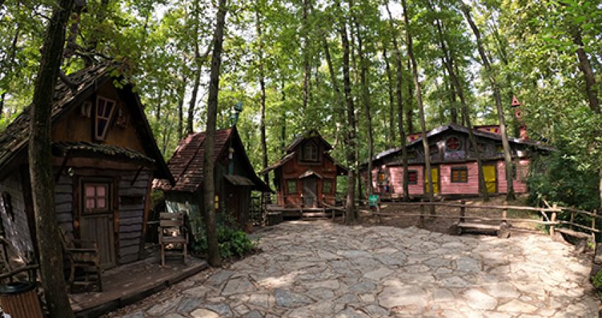 Günübirlik | Maşukiye Sapanca Ormanya Turu