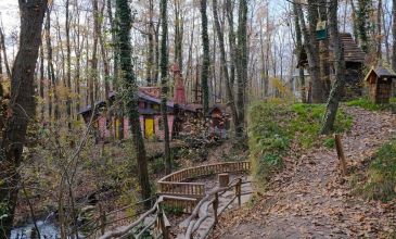 Günübirlik | Maşukiye Sapanca Ormanya Turu