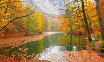 Günübirlik | Maşukiye Sapanca Ormanya Turu