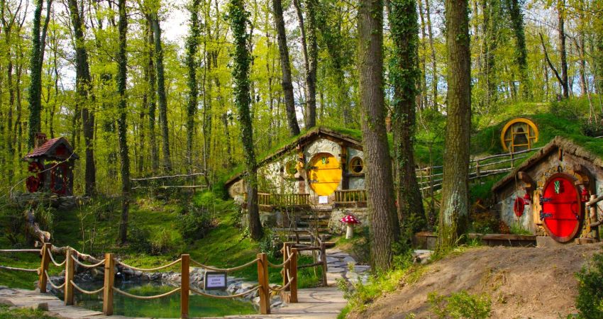 Günübirlik | Maşukiye Sapanca Ormanya Turu