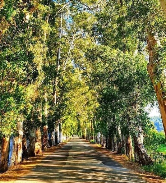 Likya Turu | 3 Gece Otel Konaklamalı