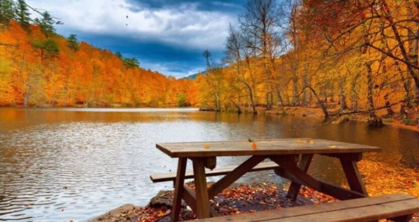 Günübirlik Yedigöller Turu