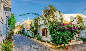 Gökçeada Bozcaada Turu | 1 Gece Otel Konaklamalı