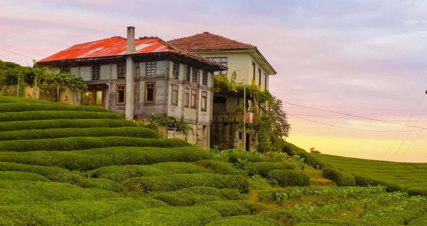 Antalya Çıkışlı Uçaklı Karadeniz Yaylalar Batum Turu | 4 Gece Otel Konaklamalı