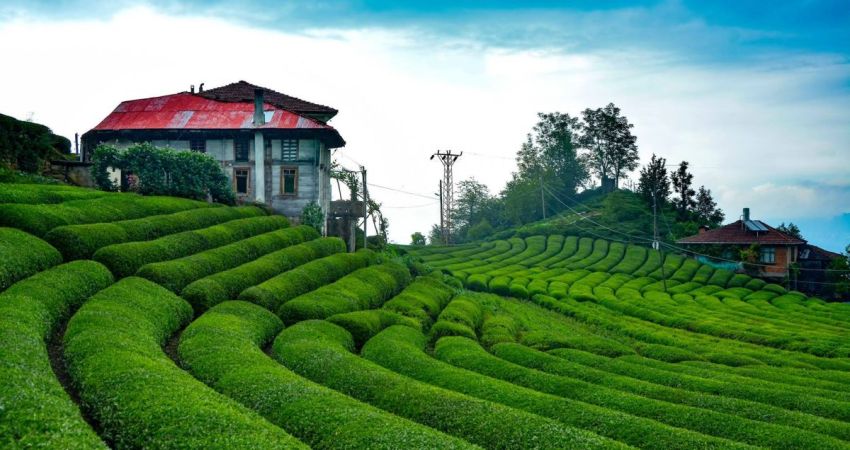 Antalya Çıkışlı Uçaklı Karadeniz Yaylalar Batum Turu | 4 Gece Otel Konaklamalı