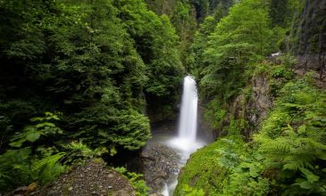 Antalya Çıkışlı Uçaklı Karadeniz Yaylalar Batum Turu | 4 Gece Otel Konaklamalı
