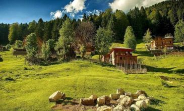 Ankara Çıkışlı Uçaklı Karadeniz Yaylalar ve Batum Turu | 3 Gece Otel Konaklamalı