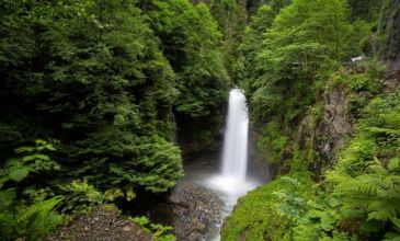 Antalya Çıkışlı Uçaklı Karadeniz Yaylalar ve Batum Turu | 3 Gece Otel Konaklamalı