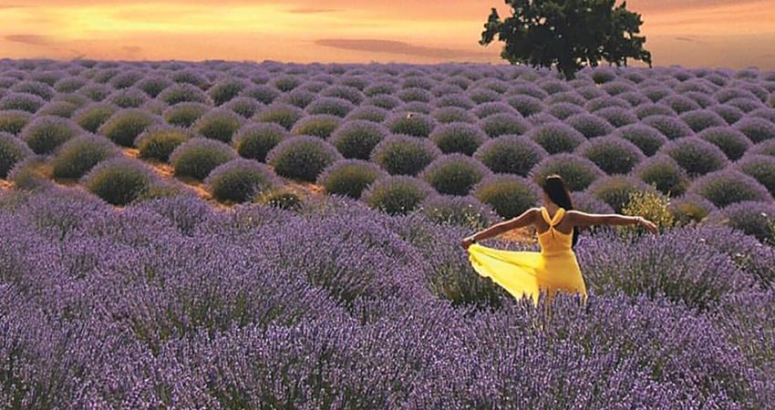 Salda Gölü Pamukkale ve Lavanta Bahçeleri Turu | 1 Gece Otel Konaklamalı