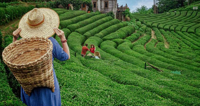 Kurban Bayramı Özel | İzmir Çıkışlı Karadeniz Yaylalar ve Batum Turu | 4 Gece Otel Konaklamalı