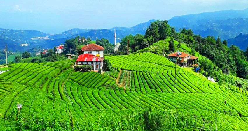 Denizli Çıkışlı Karadeniz Yaylalar ve Batum Turu | 4 Gece Otel Konaklamalı