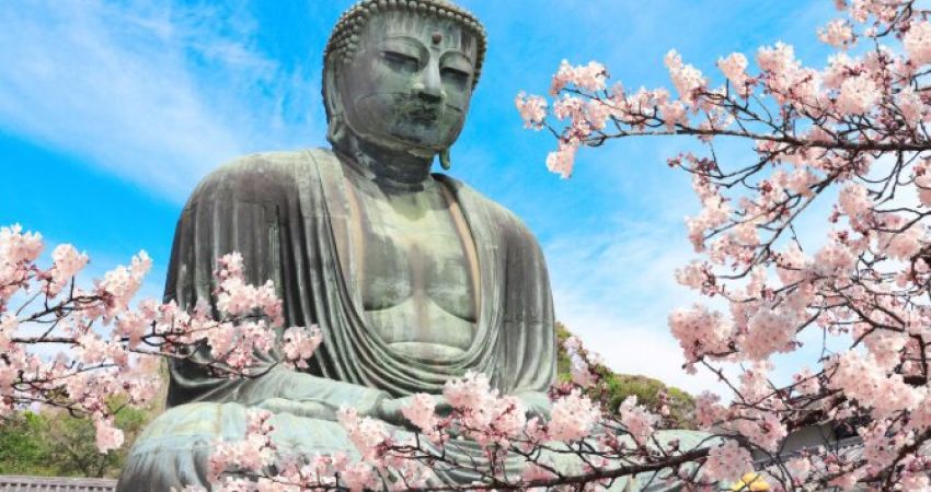 Ana HY Ile Grand Japonya Turu HND-HND