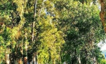 İzmir Çıkışlı Likya Turu | 3 Gece Otel Konaklamalı