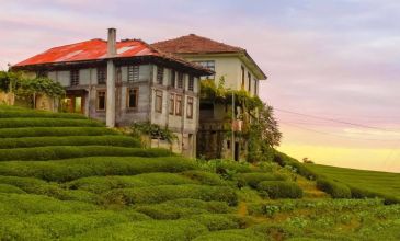 Uçaklı Karadeniz Yaylalar ve Batum Turu | 4 Gece Otel Konaklamalı | Samsun Başlar