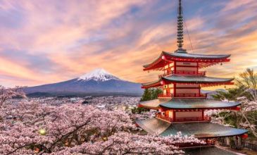 Grand Japonya Turu NRT-KIX THY