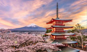 Sakura Ozel Grand Japonya Kore Turu THY