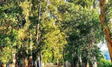 Bursa Çıkışlı Fethiye Ölüdeniz Akyaka Turu | 3 Gece Otel Konaklamalı