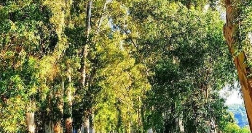 Fethiye Ölüdeniz Akyaka Turu | 2 Gece Otel Konaklamalı